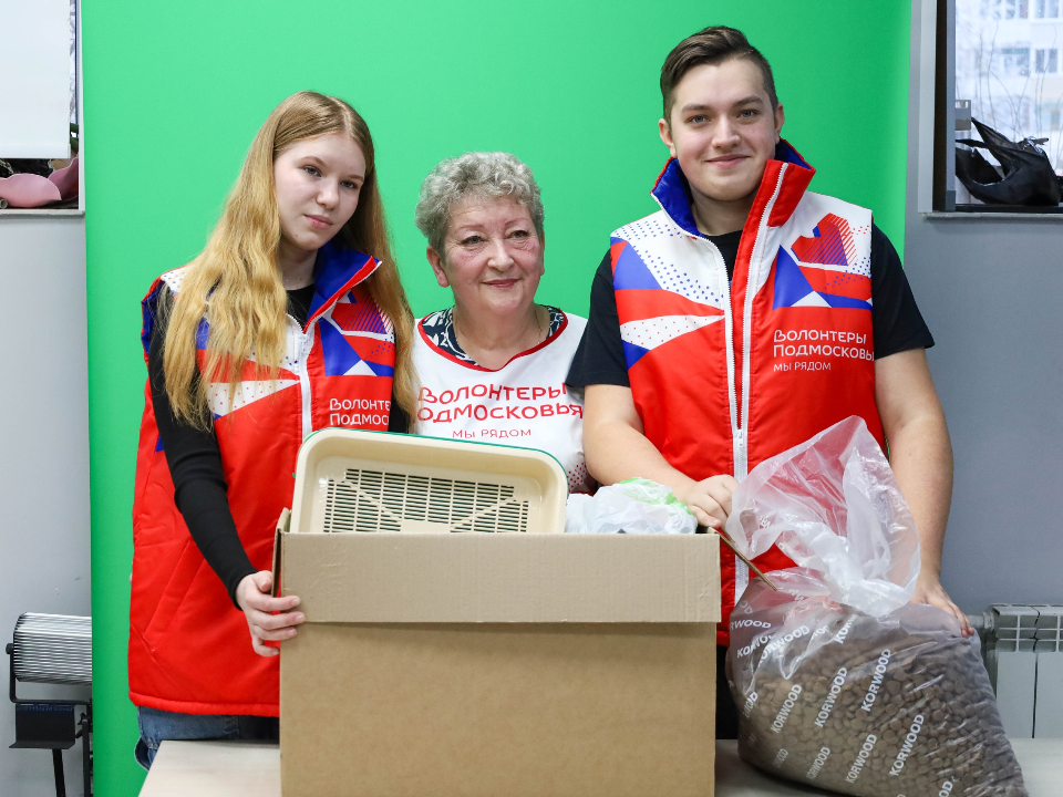    Фото: vk.com/МАУ РМО «Молодежный центр»