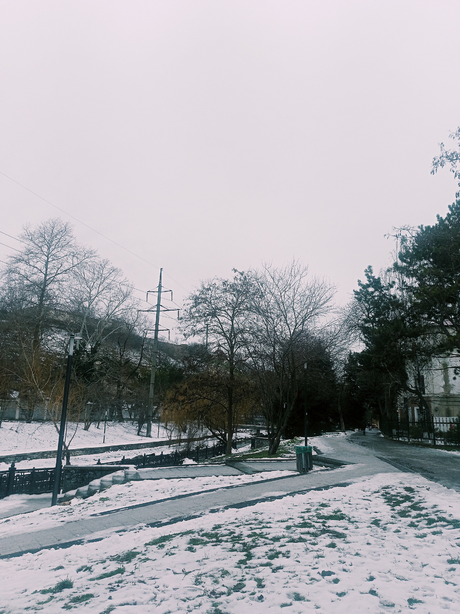 Фото автора. Пасмурно, завтра по прогнозу будет целый день идти дождь.