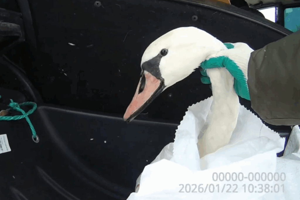    Фото: смолоблохотуправление