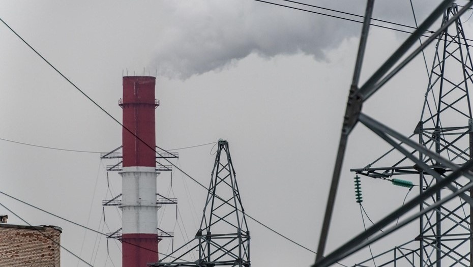 Автор фото: Михаил Тихонов / "ДП"