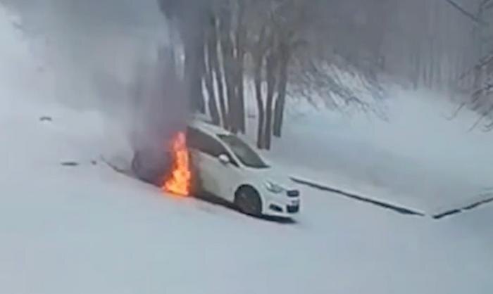 Обложка © Telegram / «Заметки бродяжного журналиста»