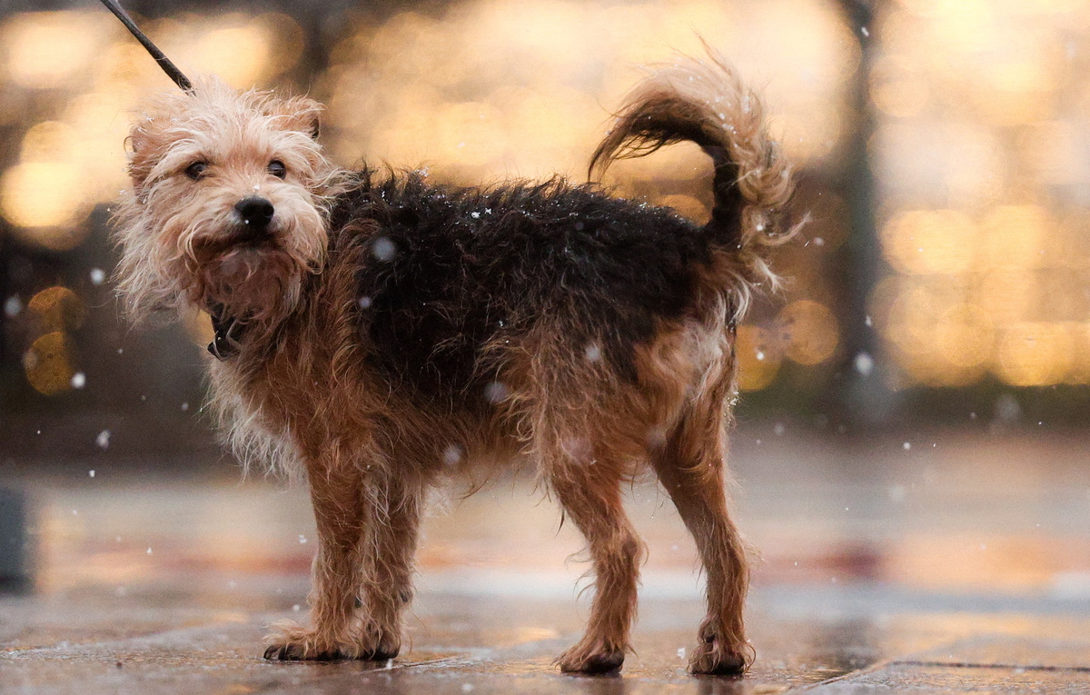 Софья Сандурская/ТАСС