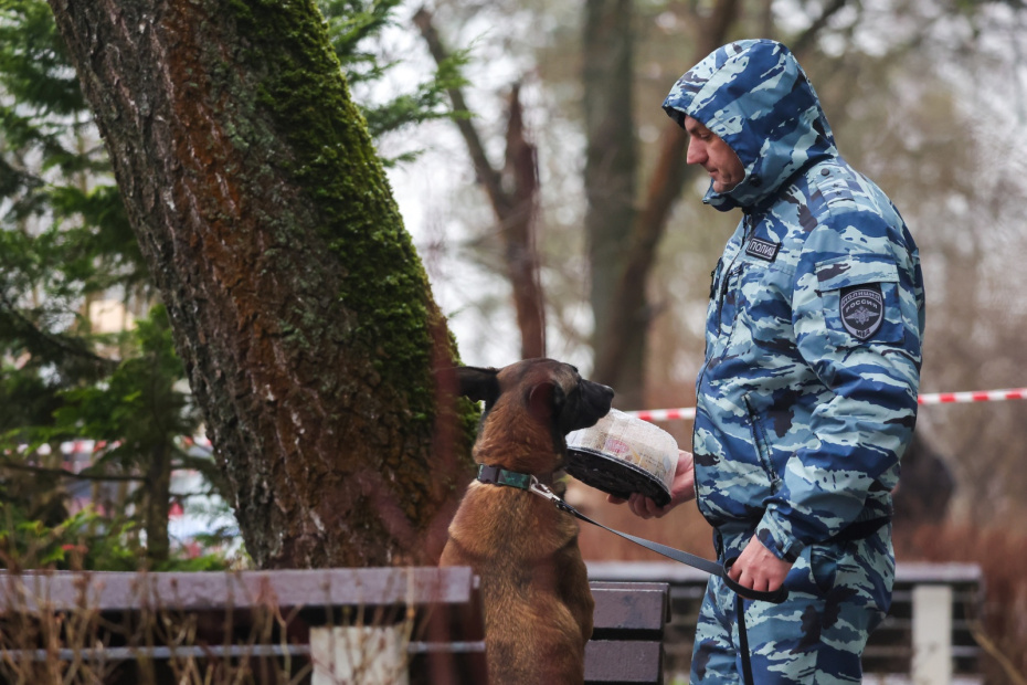    Наталья Шатохина/NEWS.ru