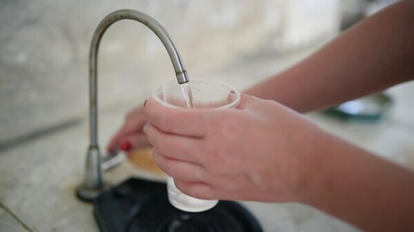    © Sputnik / Виталий Тимкив