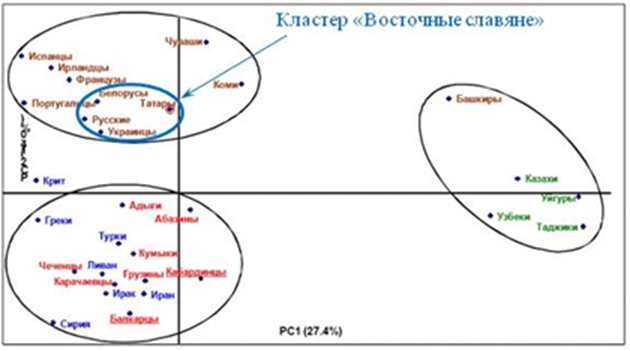 Диаграмма генетической близости народов
