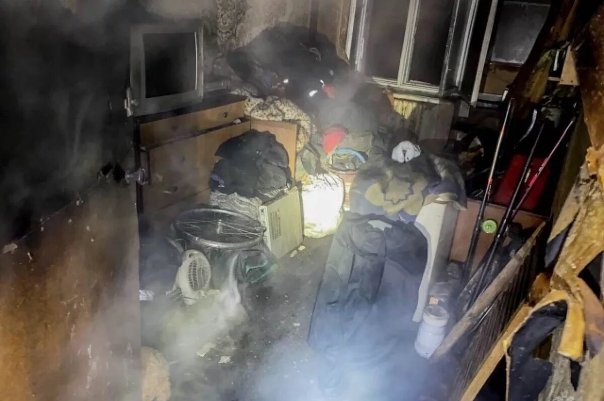    Два человека погибли и один пострадал на пожаре в Новосокольническом районе