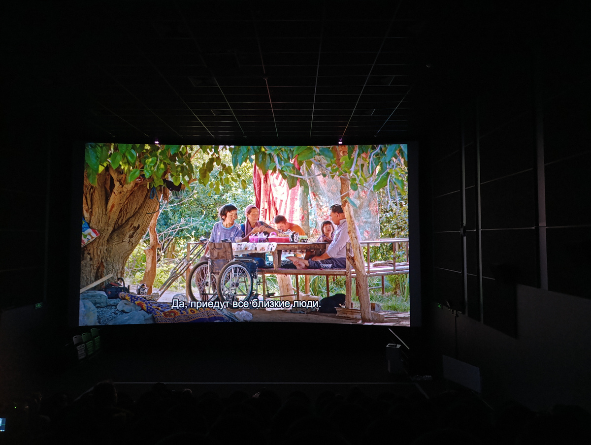 Цветная фотография горизонтальной ориентации. Небольшой тёмный кинозал. На первых рядах сидят зрители. На экране цветной кадр из фильма «Толганай». Деревня в Узбекистане. Солнечный летний день переходит в вечер. Под старым раскидистым деревом за самодельным прямоугольным деревянным столом собралась семья. Скамейки тоже сделаны из досок. На заднем плане, поодаль от стола, висят две цветные простыни. На земле под деревом лежит синий ковёр с национальным орнаментом жёлтого цвета. На ветвях дерева висят вещи. Около стола на переднем плане стоит инвалидная коляска. Справа, во главе стола, сидит мужчина, ноги протянул на скамье. Темноволосый, лет 50-60, в светлой рубашке и синих спортивных штанах. На него посматривает девочка лет пяти, широколицая, с аккуратной стрижкой каре, с чёлкой. Напротив мужчины сидит Толганай – пожилая женщина в синем платье, рыжие волосы коротко подстрижены, на голове повязан розовый платок, концы платка повисают на плечах и на груди. По её левую руку сидит, наклонившись над столом, молодой человек или девушка в оранжевой футболке. По правую руку от Толганай сидит молодая девушка в старой перелинялой синей футболке с символикой фирмы «Адидас». Лицо её кажется кривым из-за крупных округлых выпирающих опухолей на щеке, подбородке, за ухом, волосы тёмные, короткая чуть обросшая стрижка. На столе белая клеёнка с рисунком, на ней – обычная кухонная утварь – хлебница, кастрюля, заварочный чайник, чашки. Под столом лежит и посматривает на нас небольшая чёрная собачка. Внизу экрана белым шрифтом строка субтитров: «Да, приедут все близкие люди».