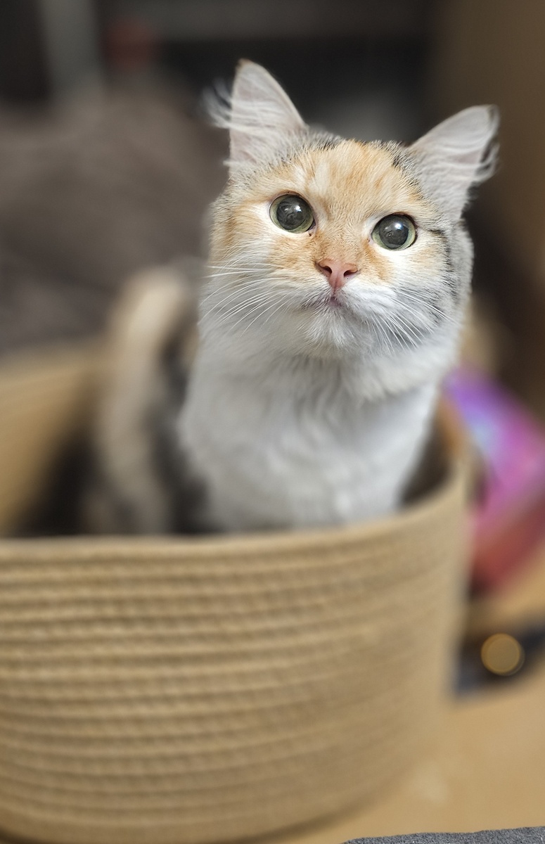 Фото автора. Получится пожить еще?