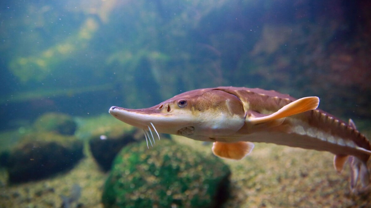    Фото: Krzysztof Winnik/Shutterstock/Fotodom