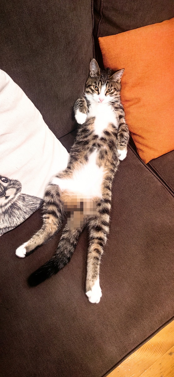 Проходя мимо - проходите)