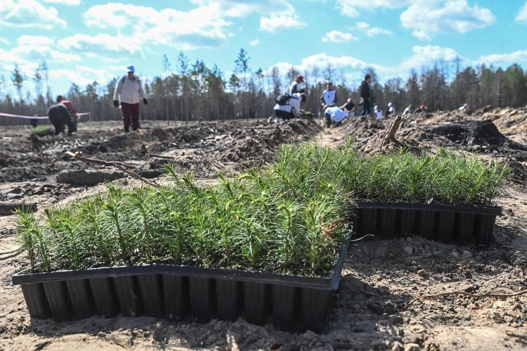 Фото: Сергей Елесин, ИА "Тюменская линия"