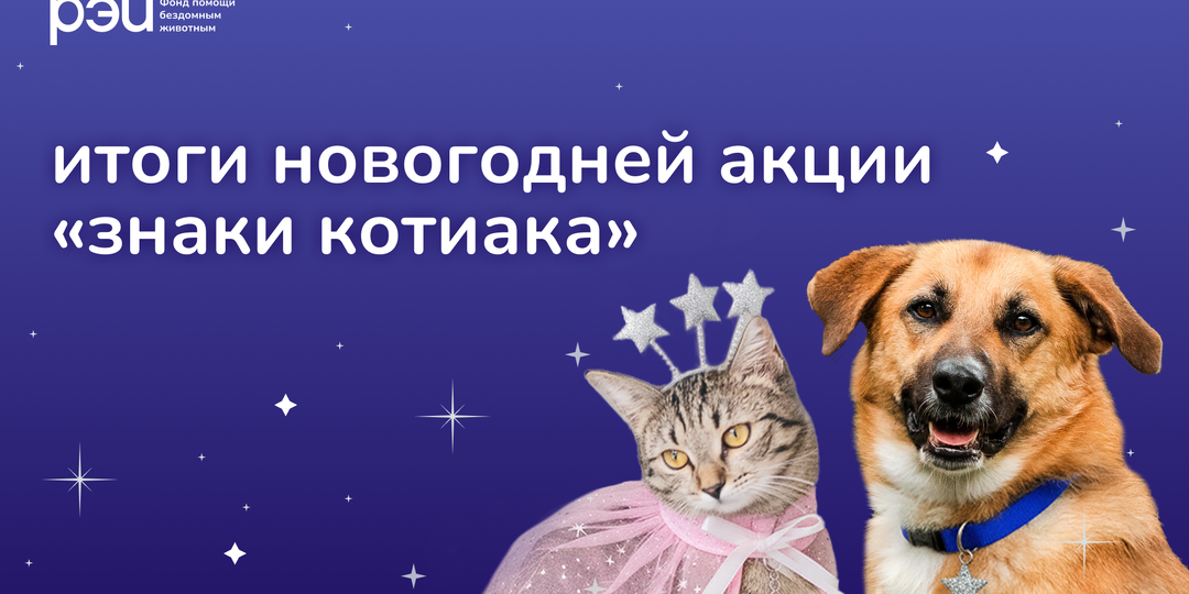 Итоги новогодней онлайн-акции «Знаки котиака»