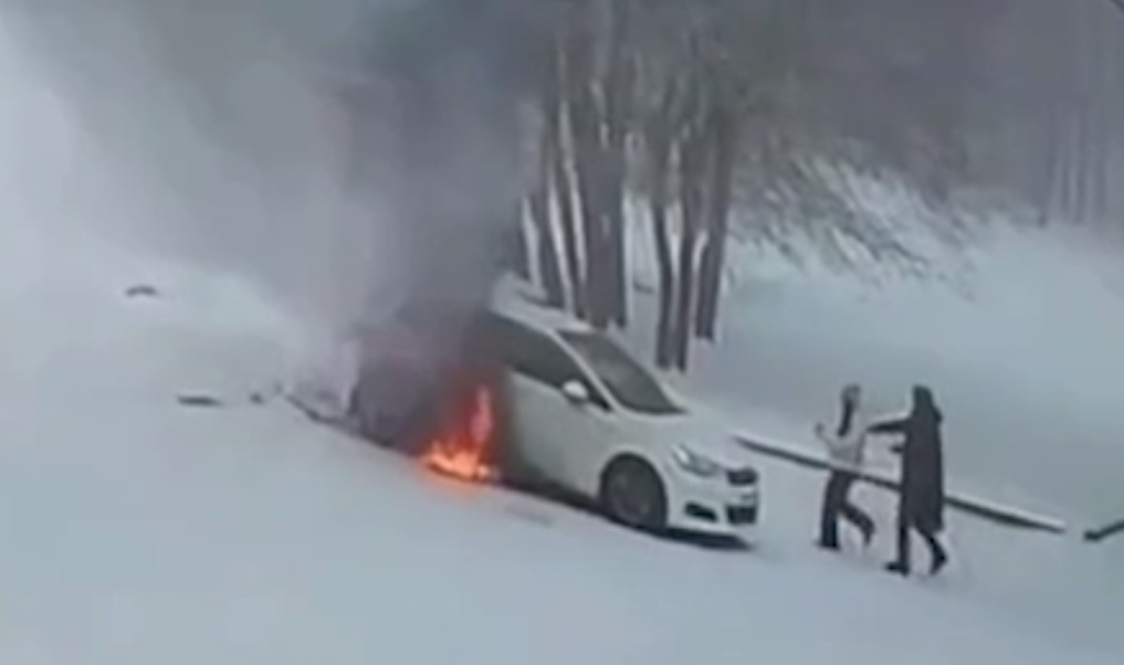     / Источник: Кадр из видео