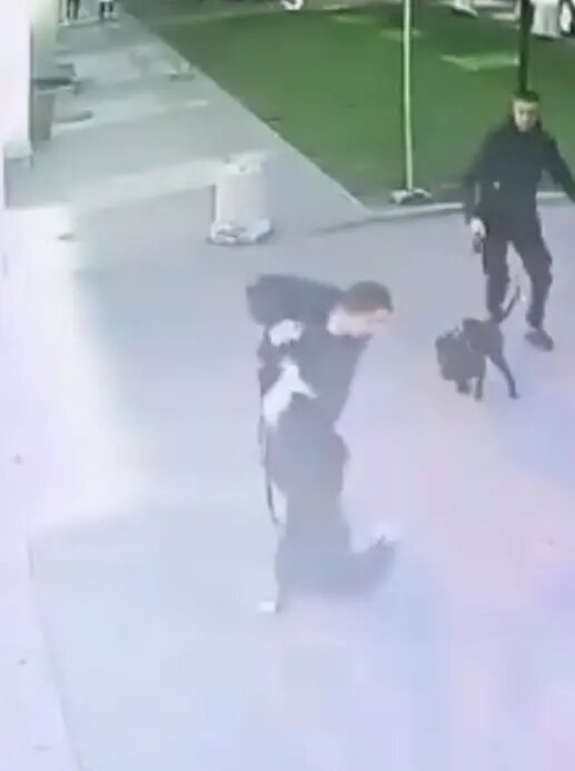    Архивное фото: ГУ МВД по Петербургу и Ленобласти