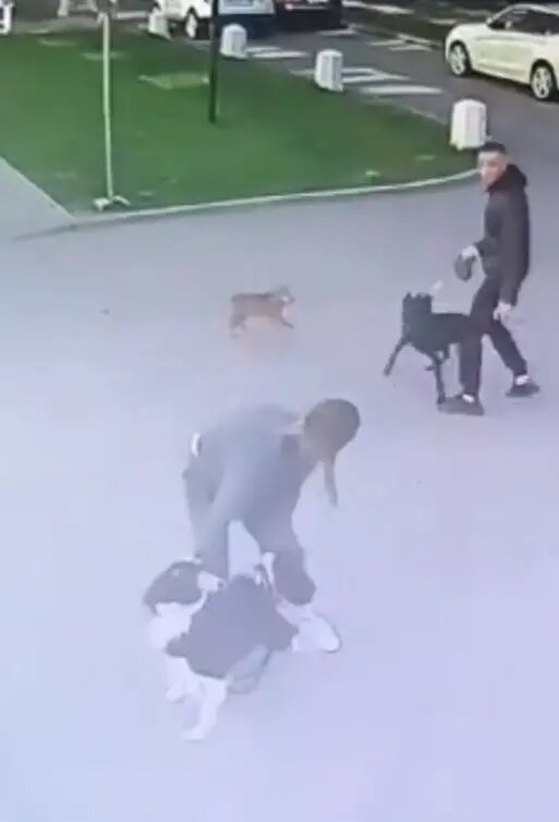    Архивное фото: ГУ МВД по Петербургу и Ленобласти