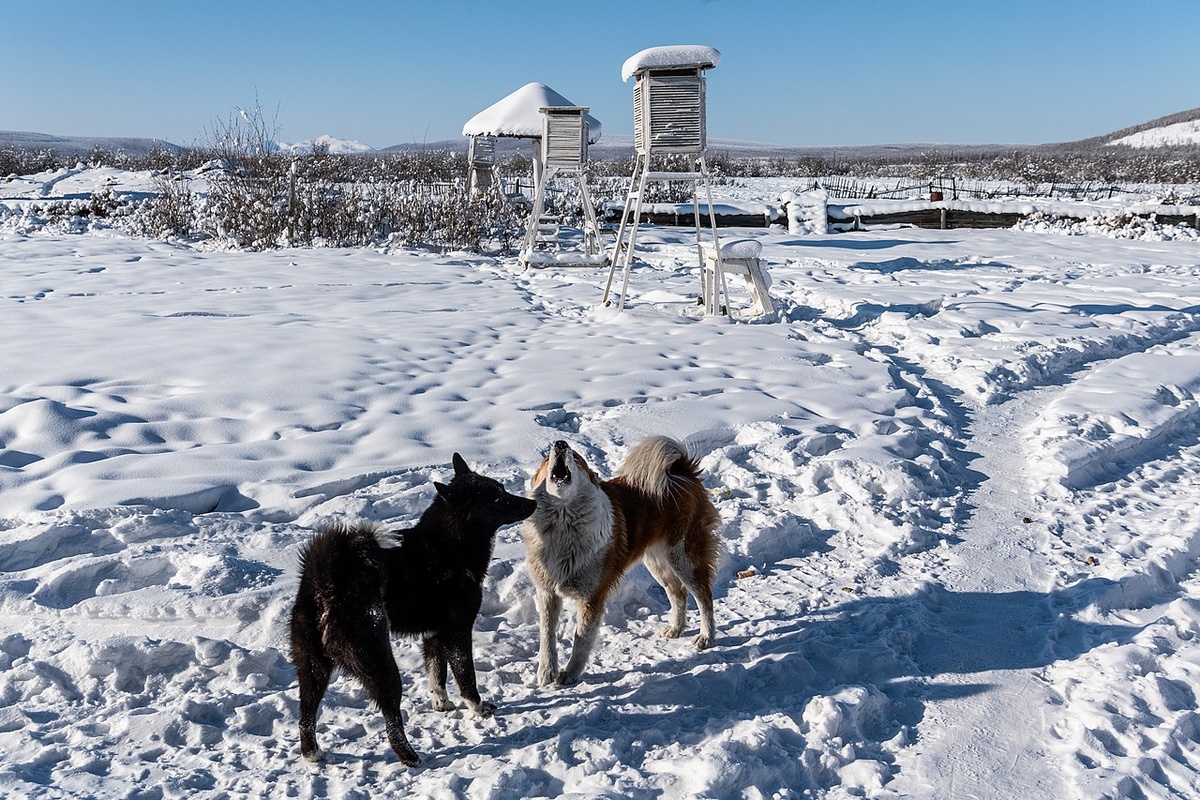 Метеостанция «Оймякон» находится у села Томтор. Ну а что, мало ли в этом мире странностей