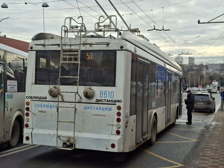   Ольга Новицкая