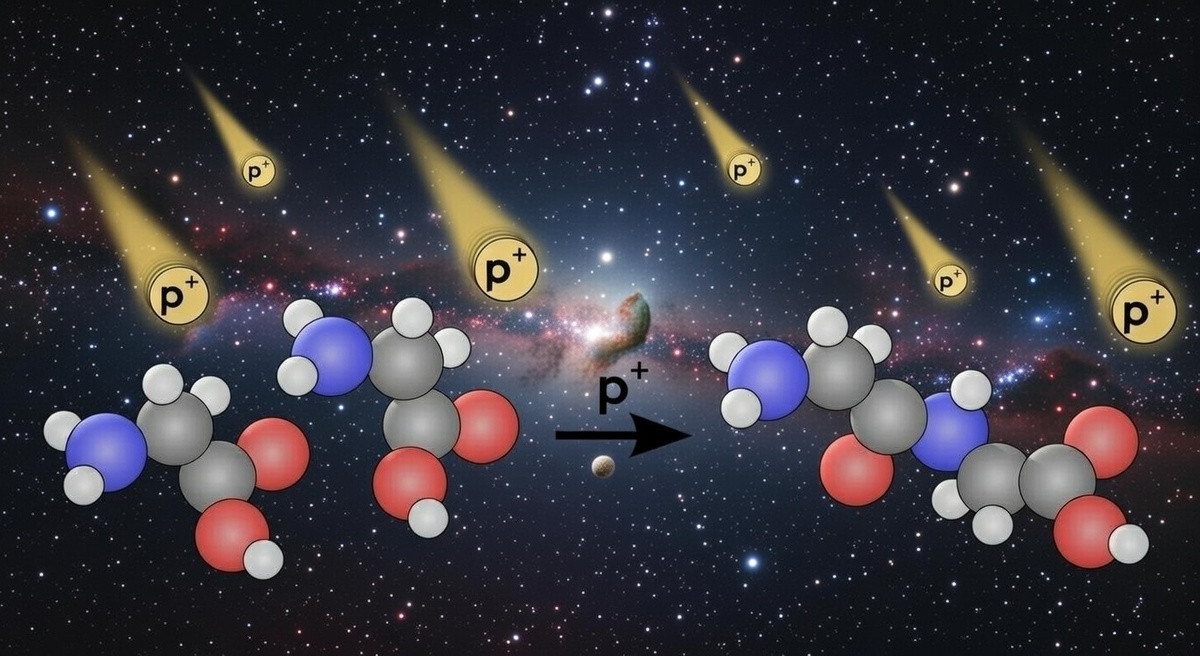 Молекулы глицина на поверхности межзвездной пыли, подвергаются бомбардировке протонами космических лучей (p+) с образованием пептидов - строительных блоков белков