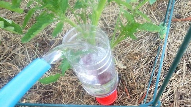 Автополив из пластиковых бутылок