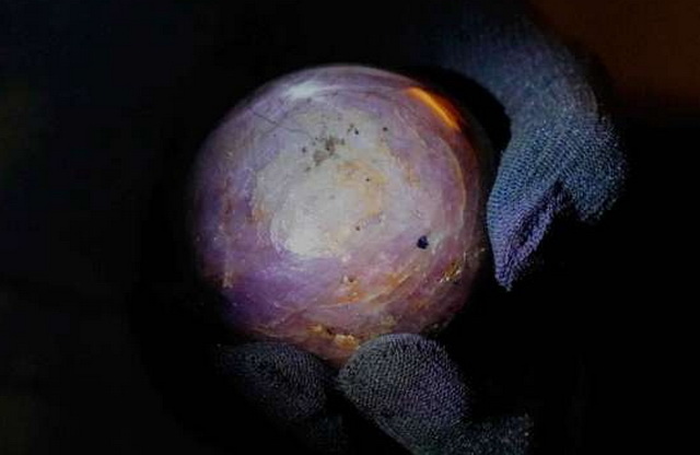 Фото: Eranga Jayawardena / AP / ТАСС / РБК