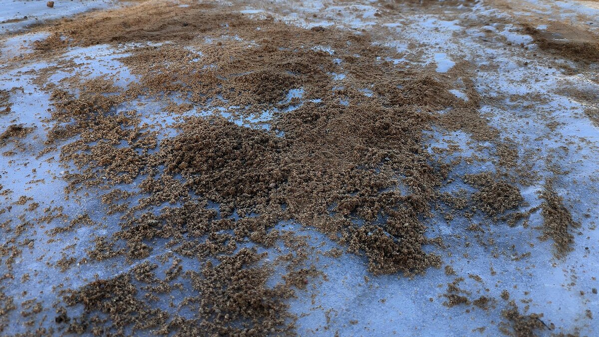    Фото: Maksim Konstantinov/globallookpress.com