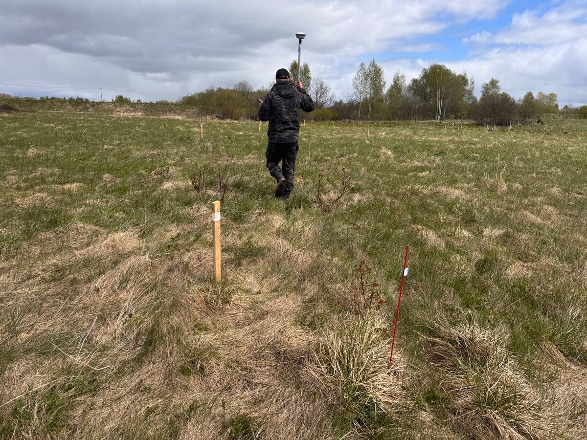Процес выноса границ участка