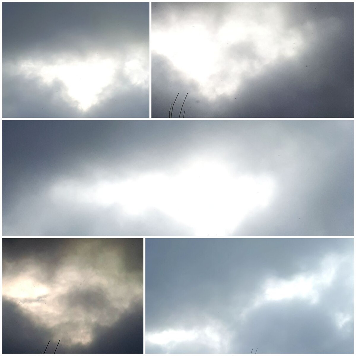 Коллаж автора статьи 22.01.2026г.