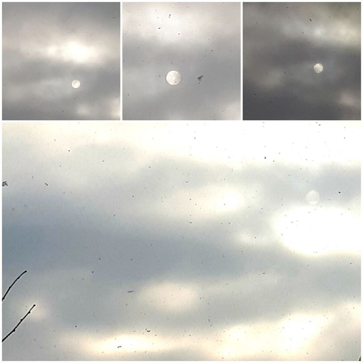 Коллаж автора статьи 23.01.2026г.