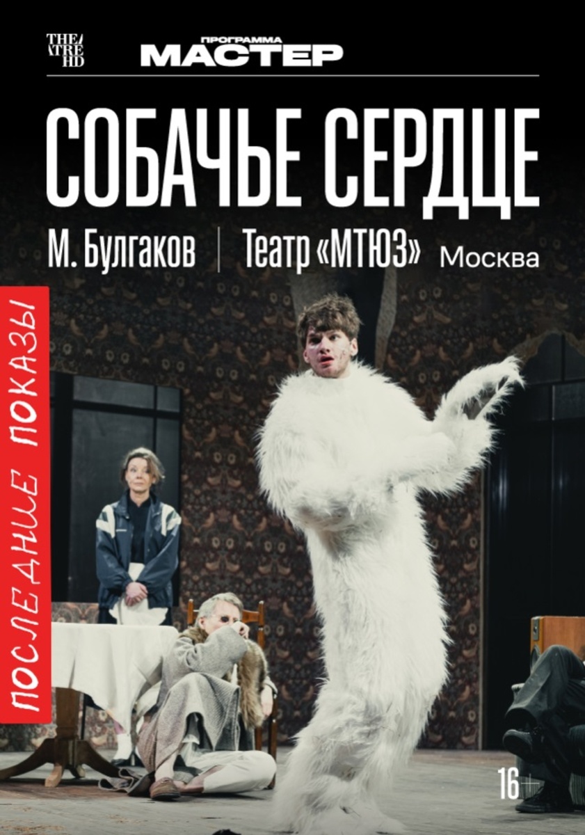 официальная афиша спектакля https://ufa.theatrehd.com/
