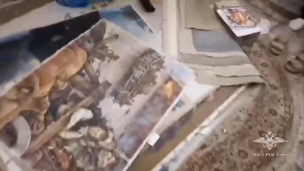   @IrinaVolk_MVD / Telegram