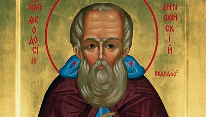 Преподобный Феодосий Антиохийский. Фото: azbyka.ru