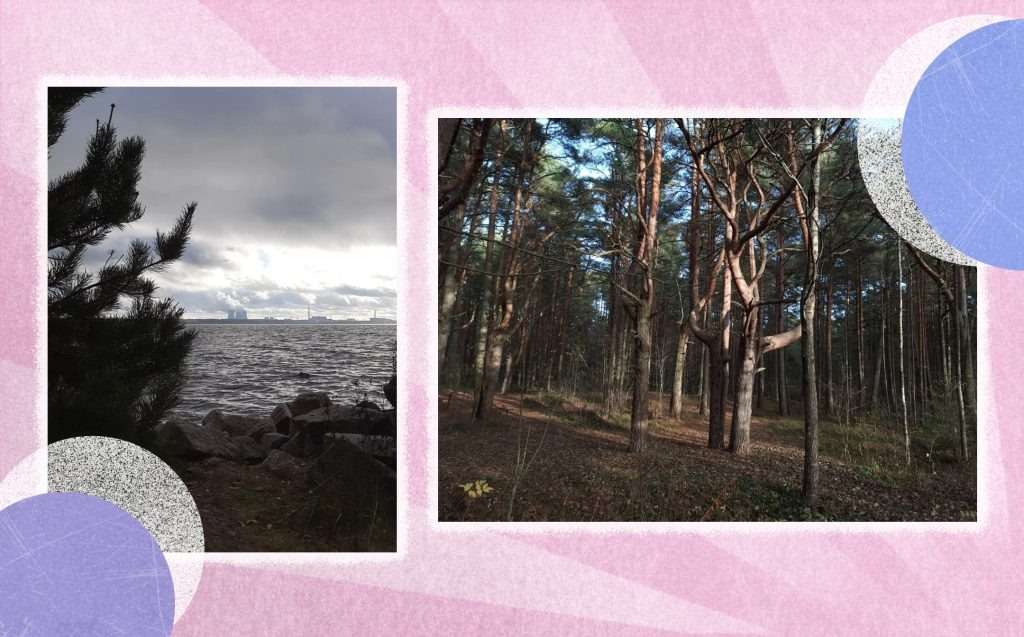 В Сосновом Бору сочетаются две крайности: технологичная Ленинградская АЭС и тихие северные леса. Источник: журнал «Луч»