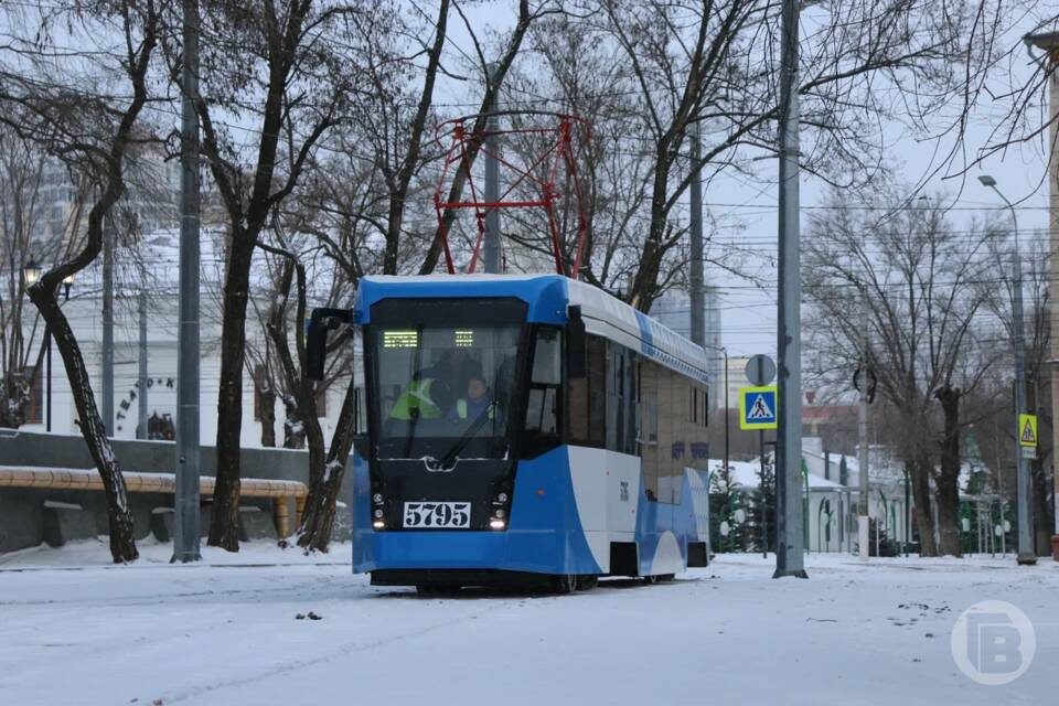    Матвей Горбунов/"Городские вести"