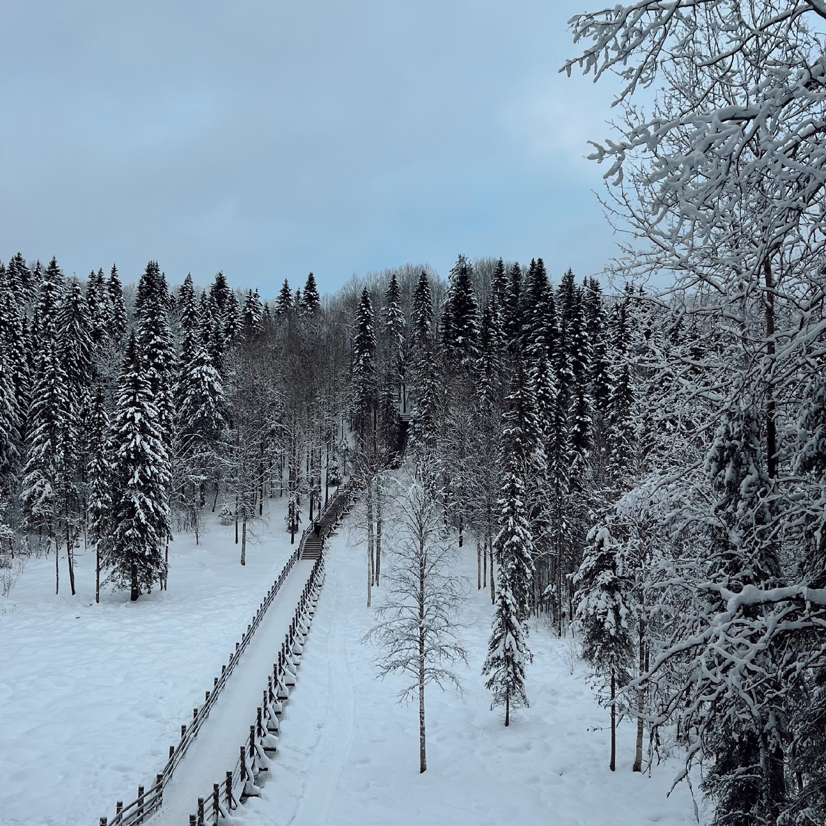 Немного лестничной зарядки на свежем воздухе. Фото автора