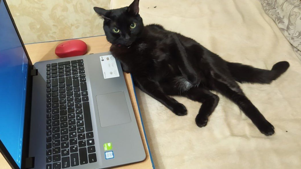 Проверил - все чисто! Вирусов не обнаружено!