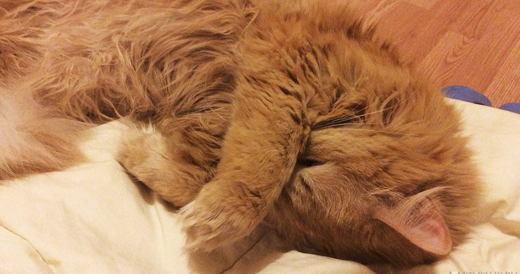 Почти половина оставшихся без отопления домов в Карабаше все еще не подключены