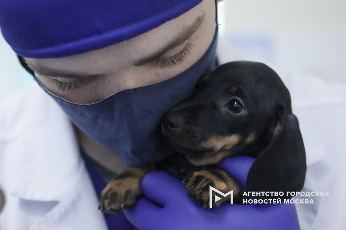 Фотограф: Софья Сандурская