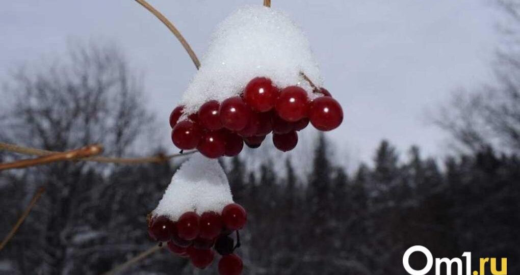 Начальник Обь-Иртышского УГМС объяснила причины аномальных морозов в Омской области