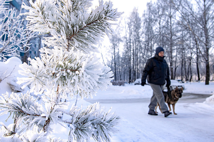    Уже завтра температура воздуха в республике опустится до минус 30 градусов, а местами похолодает и до минус 35 градусов.   
Фото: Олег Спиридонов