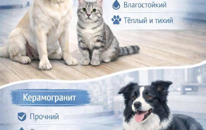 Какое напольное покрытие выбрать, если в доме есть животные? 🐾