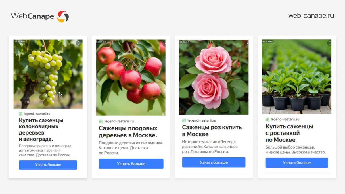 Нейрообъявления для проекта «Легенды растений»