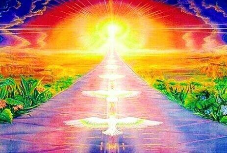 из интернета