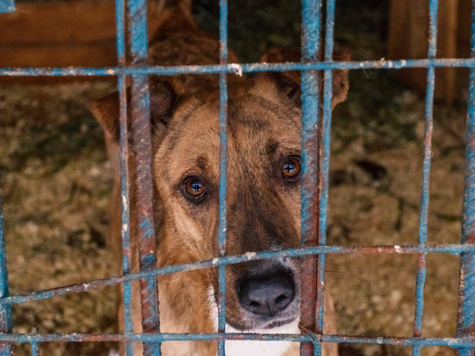    Фото: istockphoto.com/Евгения Севрюкова
