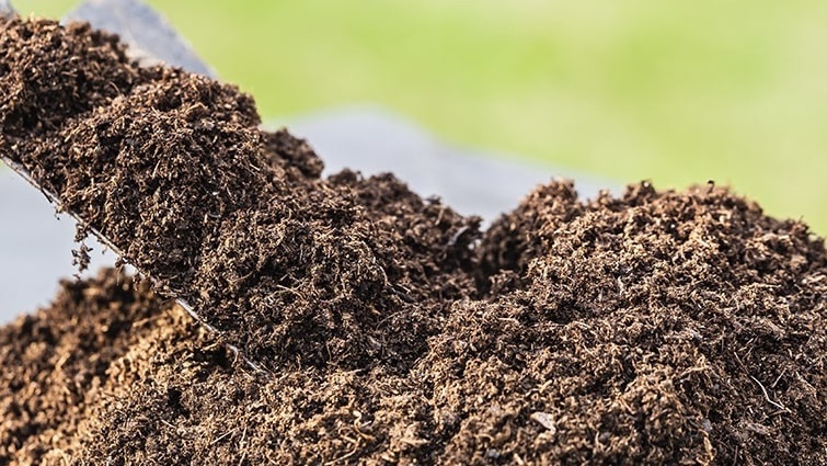 Верховой торф