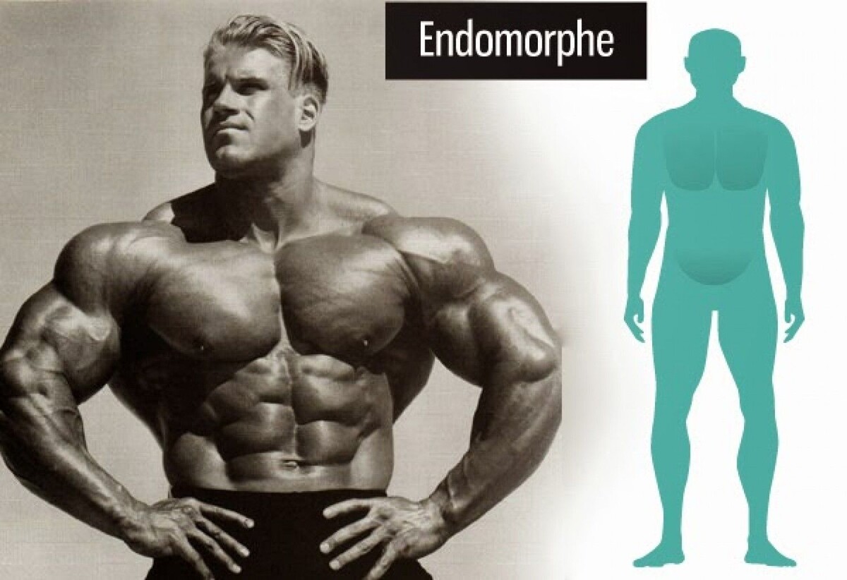 Конституция эндоморфа: мощный костяк, развитая «внутренняя» масса, система, настроенная на сохранение энергии