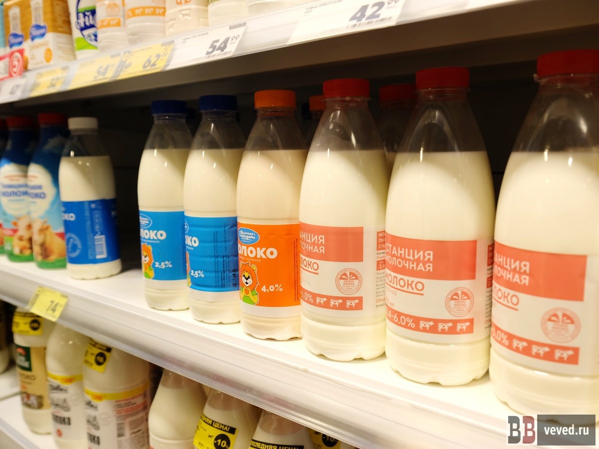     Фото: Владислав Постников / Вечерние ведомости