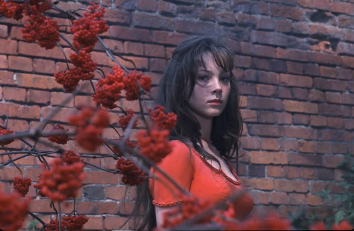 Кадр из кинофильма "Мой ласковый и нежный зверь", 1978 г., режиссер и сценарист Эмиль Лотяну, композитор Евгений Дога (скриншот)