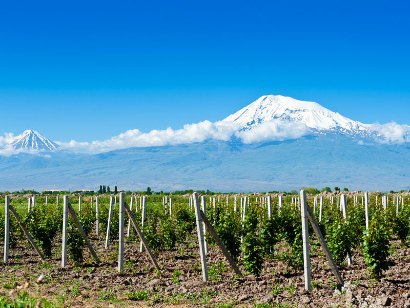 Автохтон - термин в переводе с греческого означает местный или коренной.