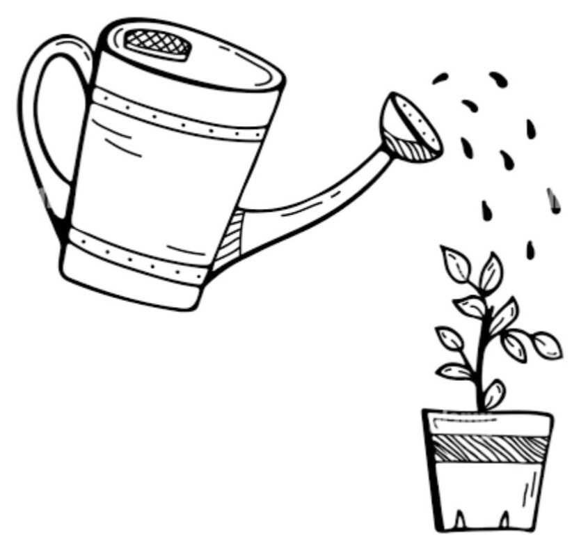 Фото из интернета.