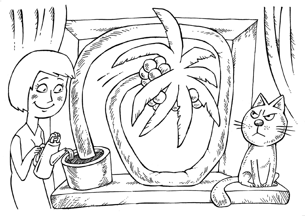 Рисунок Максима Смагина, «Областная газета»